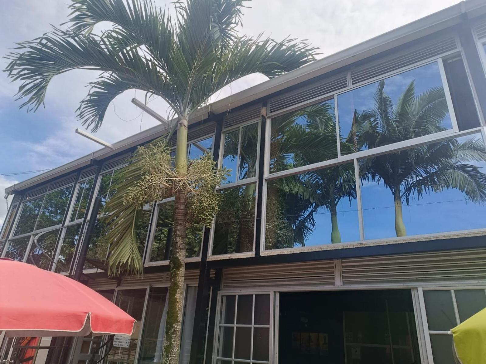 Akuarela Apartamentos Campestres איבגו מראה חיצוני תמונה
